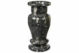Limestone Vase With Orthoceras Fossils #122446-2
